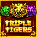 Bocoran RTP Slot Pragmatic Triple Tigers